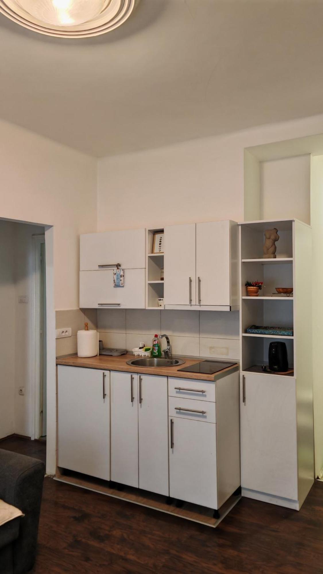 Zeleni Venac Studio & Apartment Belgrade Exterior photo
